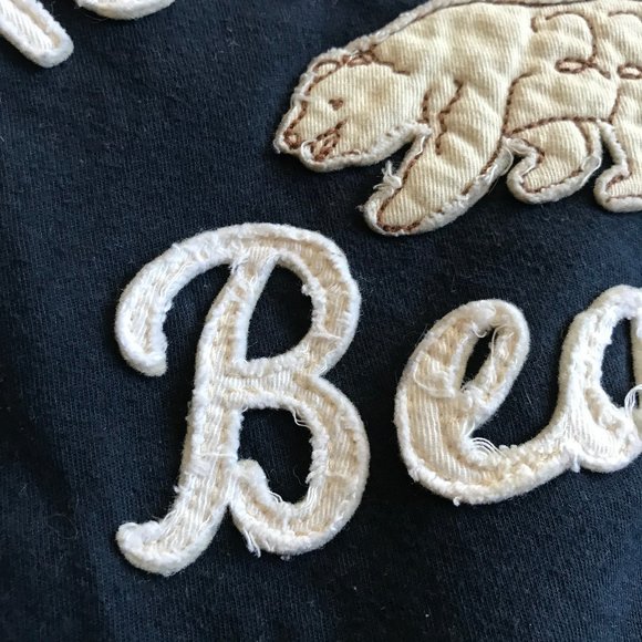 HOLLISTER Bears T-Shirt Navy Blue - Picture 3 of 4